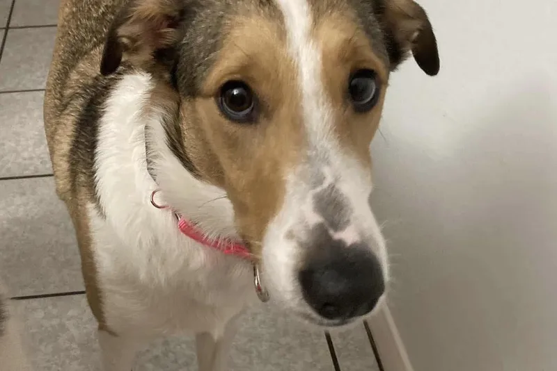 Mia And Milo thumbnail 4