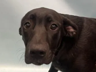 Harry