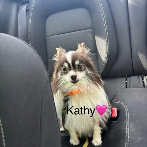 Kathy thumbnail 2