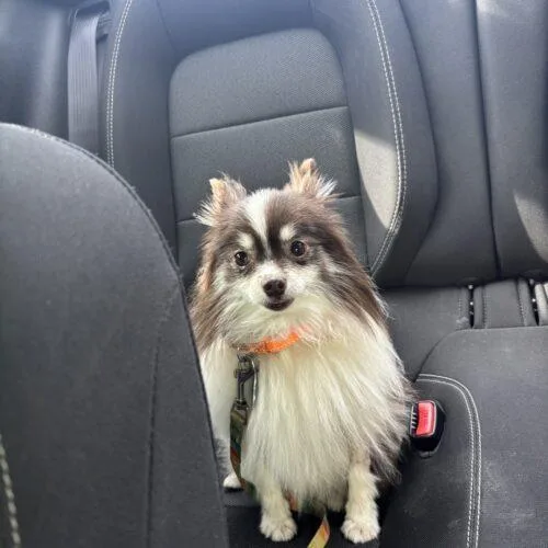 Kathy thumbnail 5