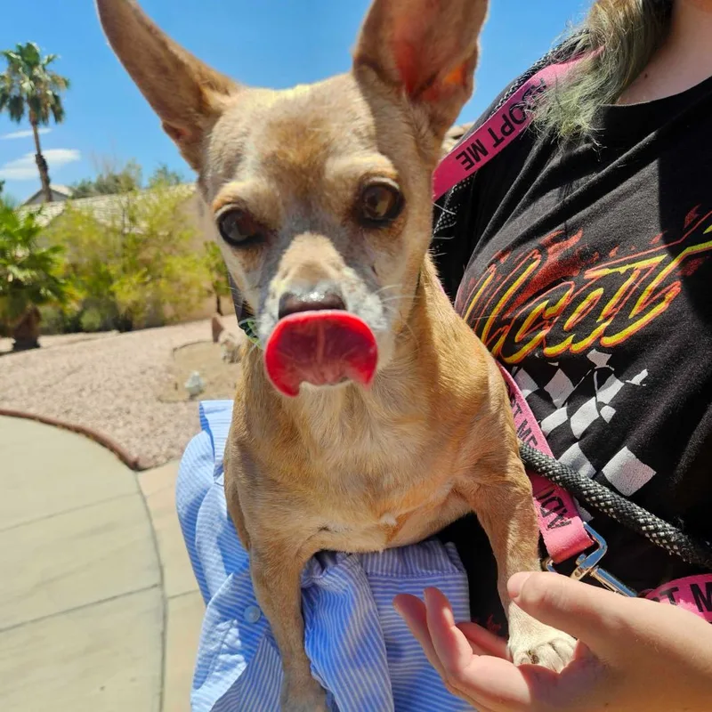 Sweetie thumbnail 2