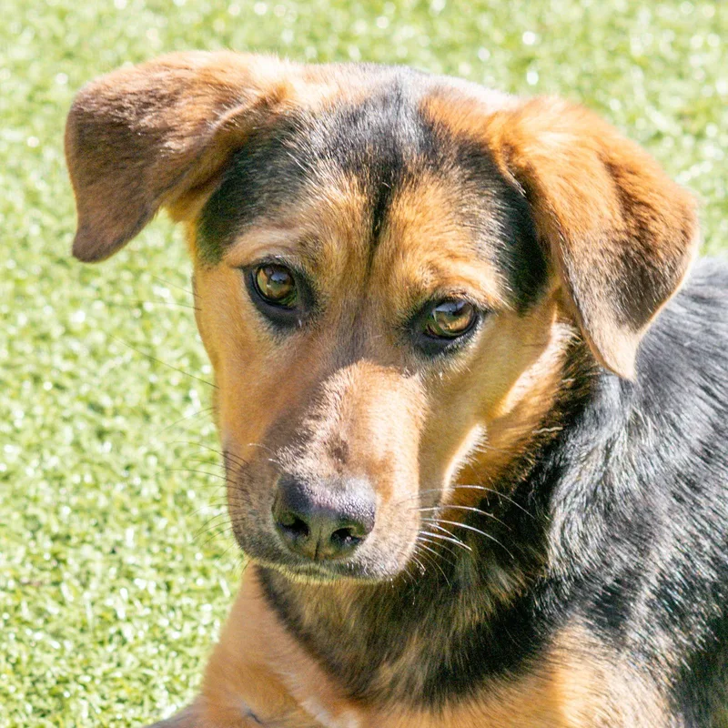 Courtney thumbnail 2