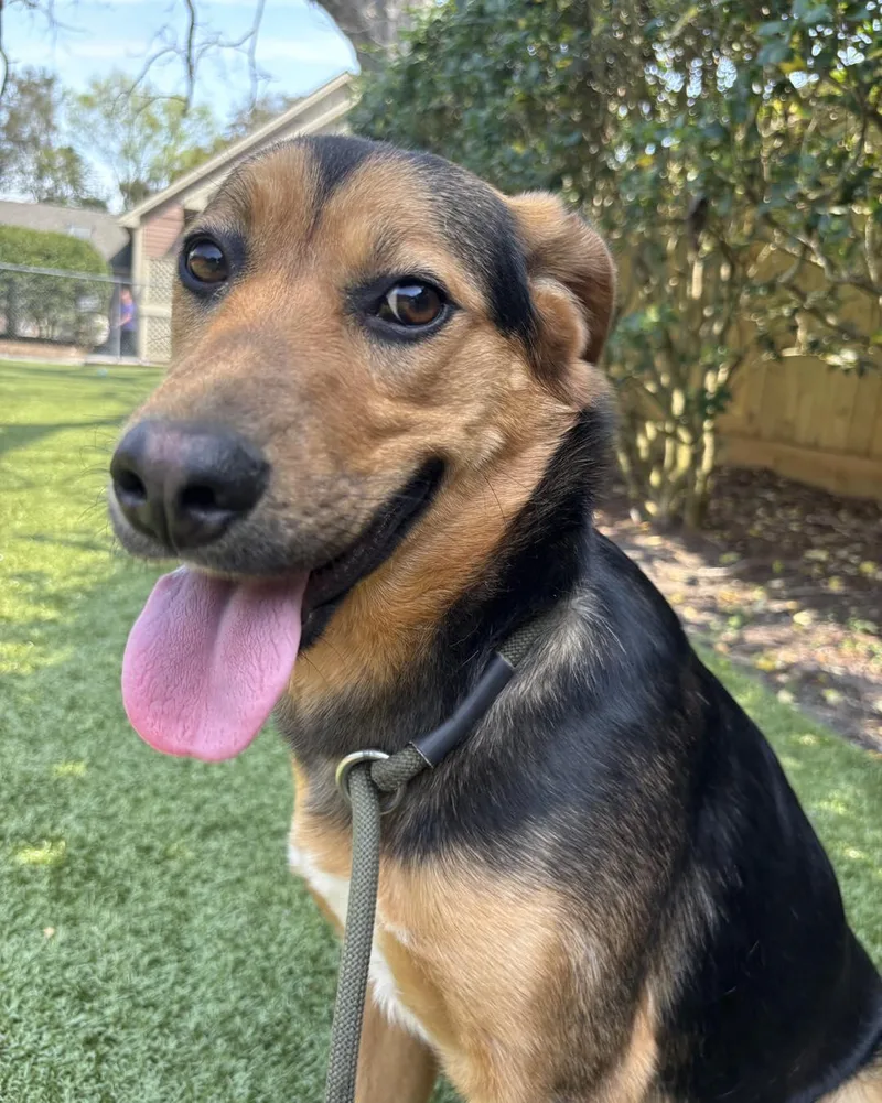 Courtney thumbnail 3