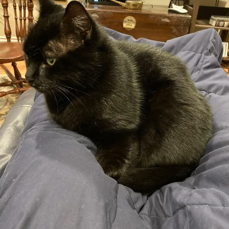 Smudge