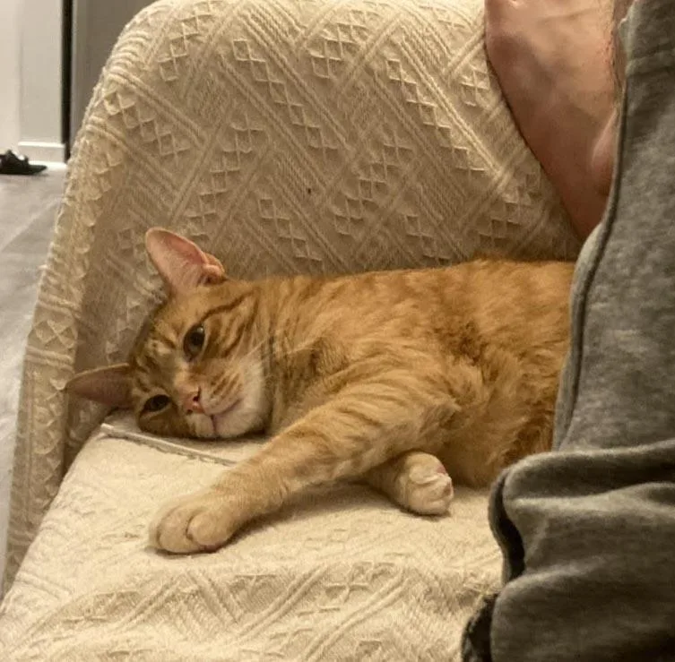 Soongnyang thumbnail 2