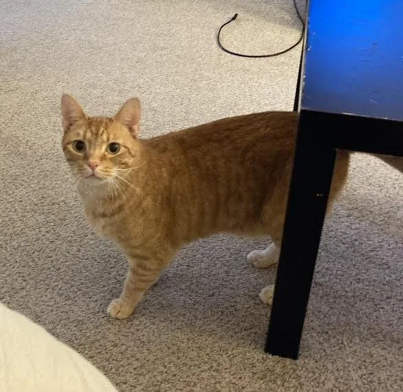 Soongnyang thumbnail 3