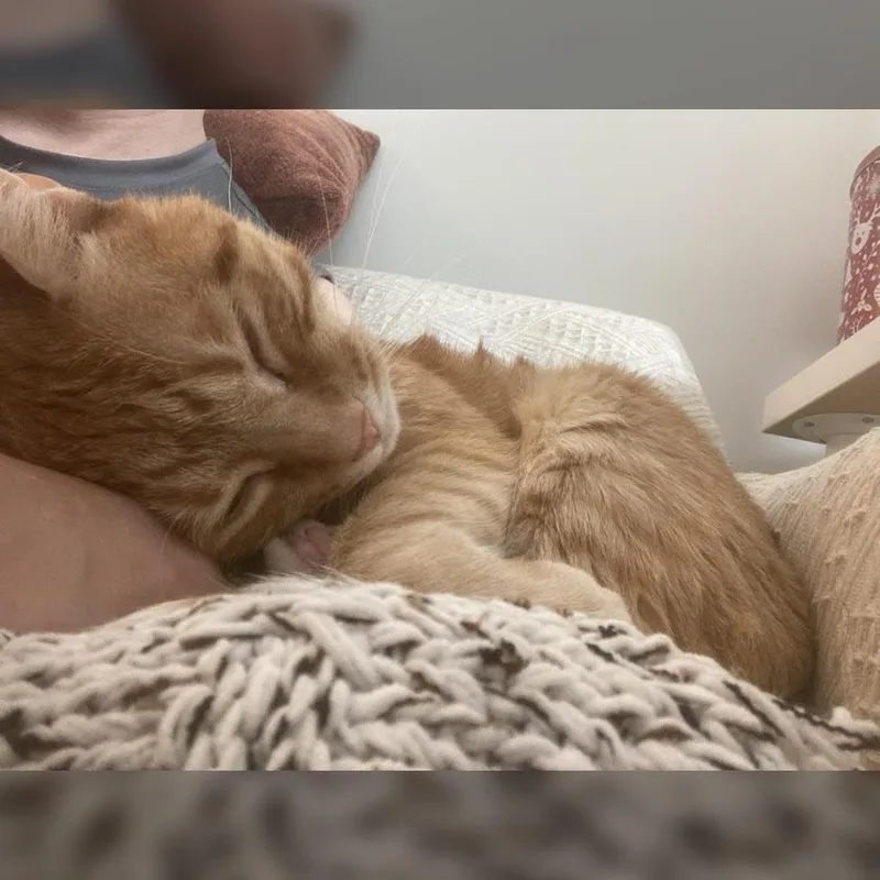 Soongnyang thumbnail 5