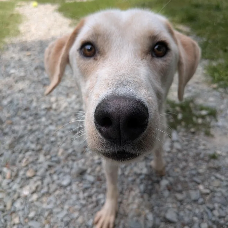 Sprocket thumbnail 5