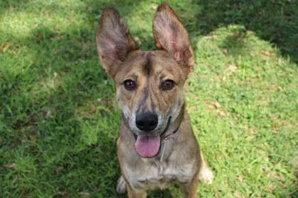 Fiona