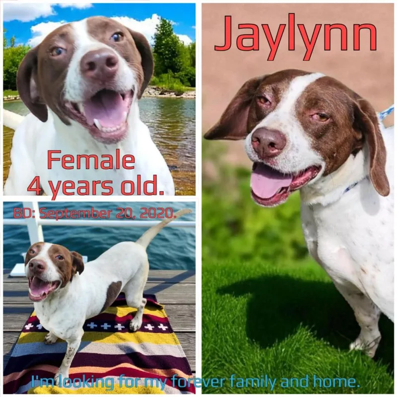 Jaylynn thumbnail 2