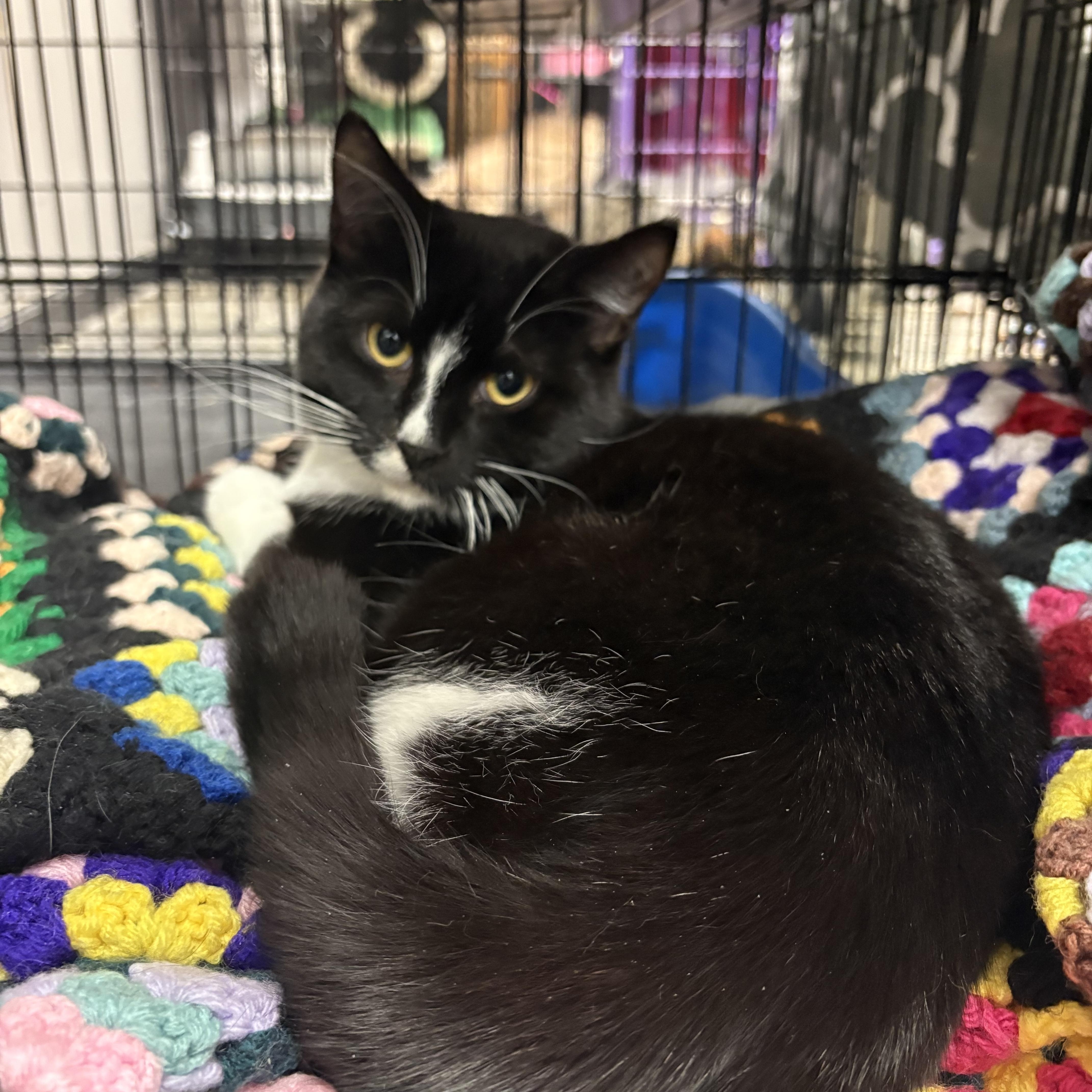 Lightning thumbnail 2