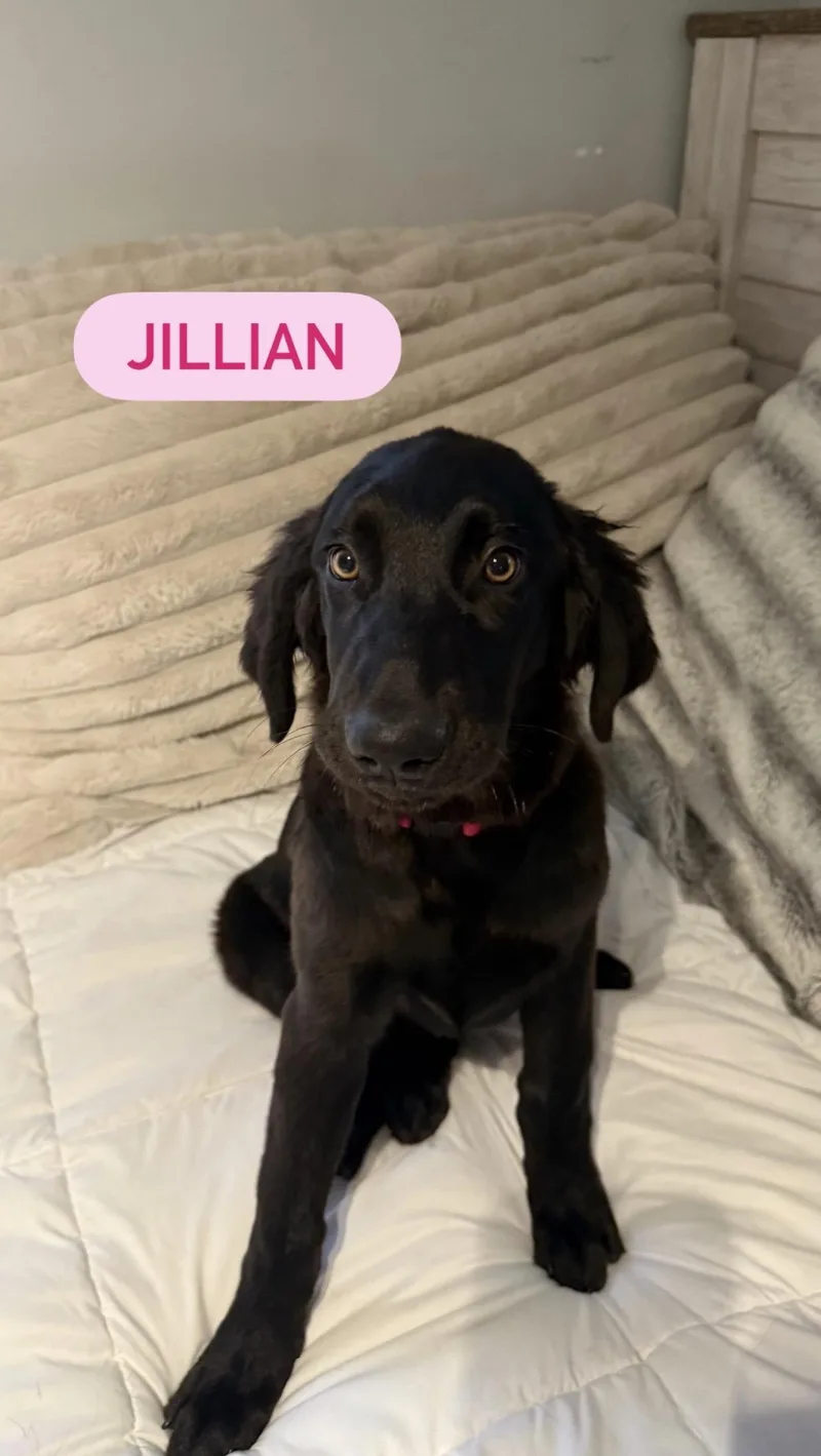 Jillian thumbnail 2