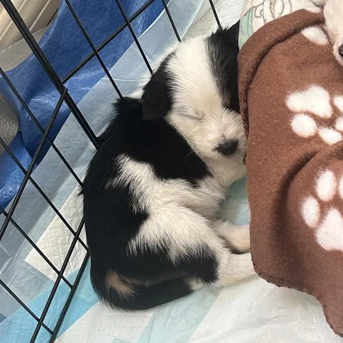 Elena thumbnail 3