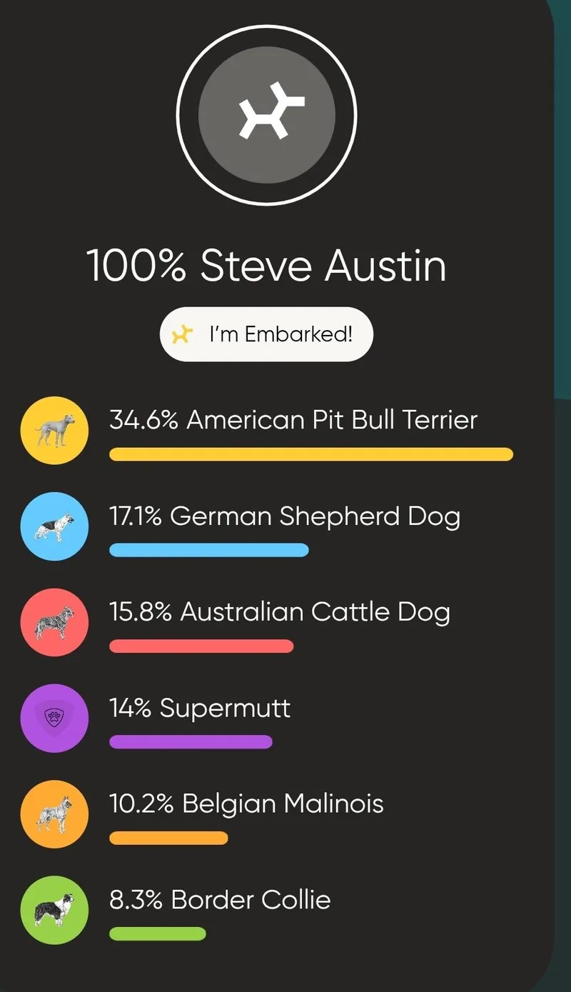 Steve Austin