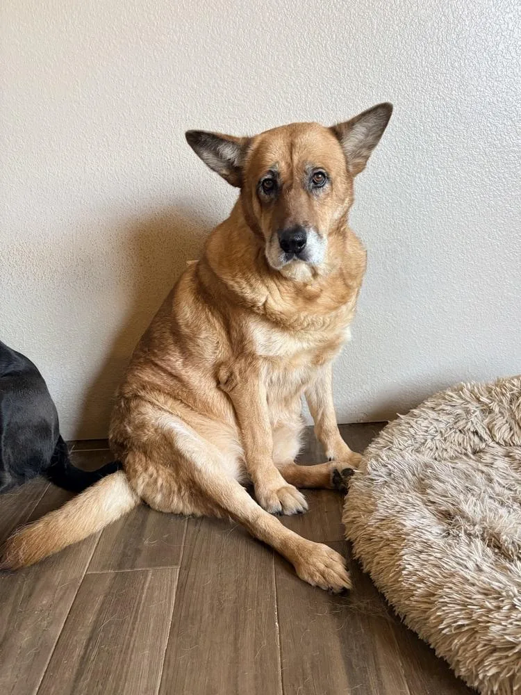 Sunshine thumbnail 2