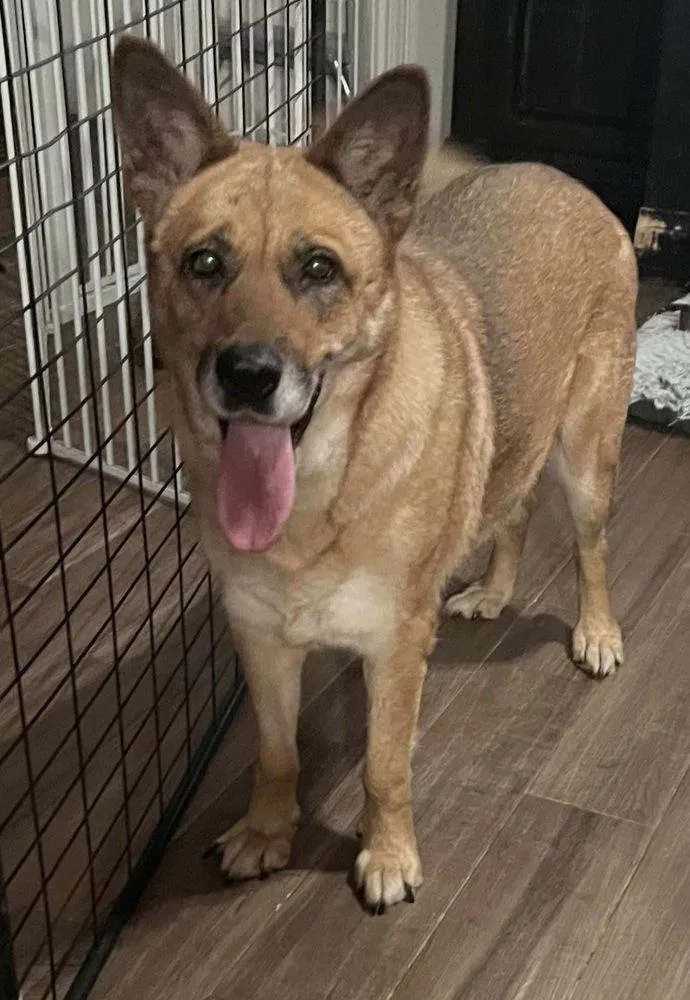 Sunshine thumbnail 3