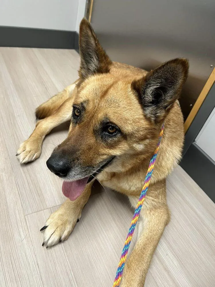 Sunshine thumbnail 4