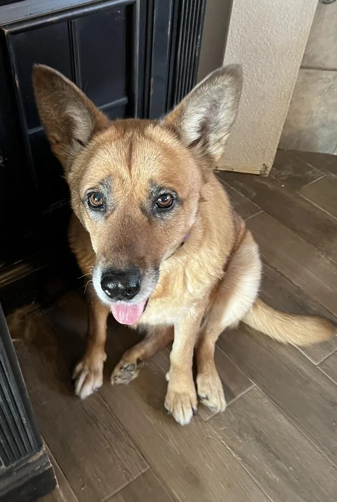 Sunshine thumbnail 5