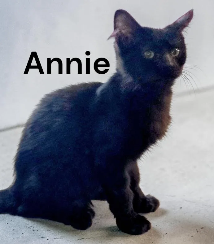 Annie