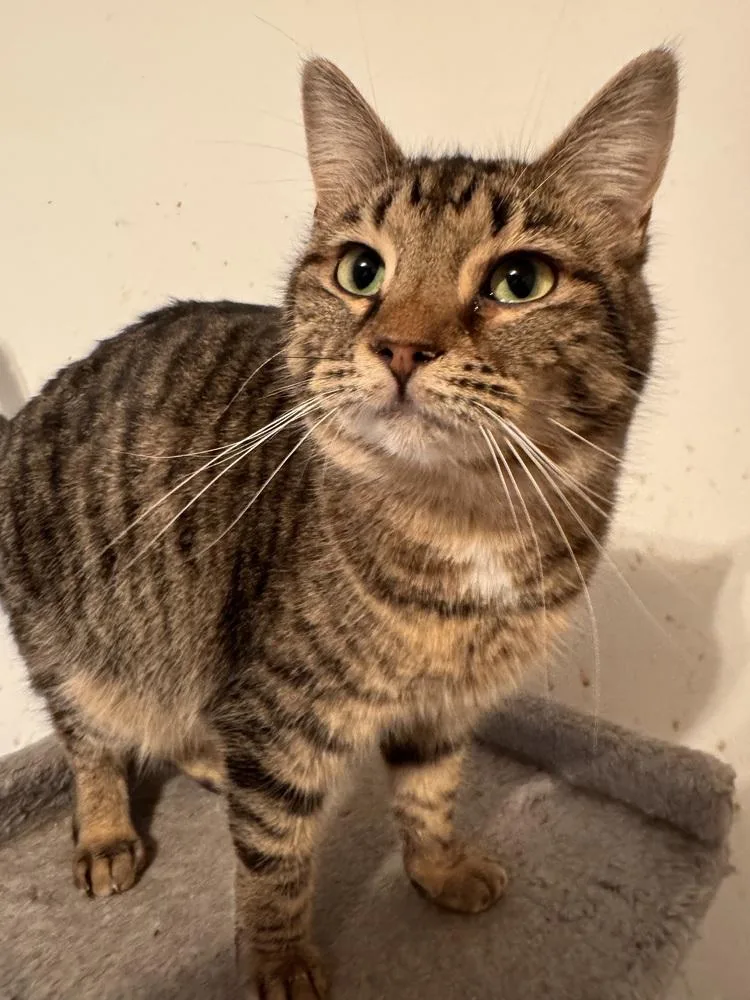 Lil Cece thumbnail 6