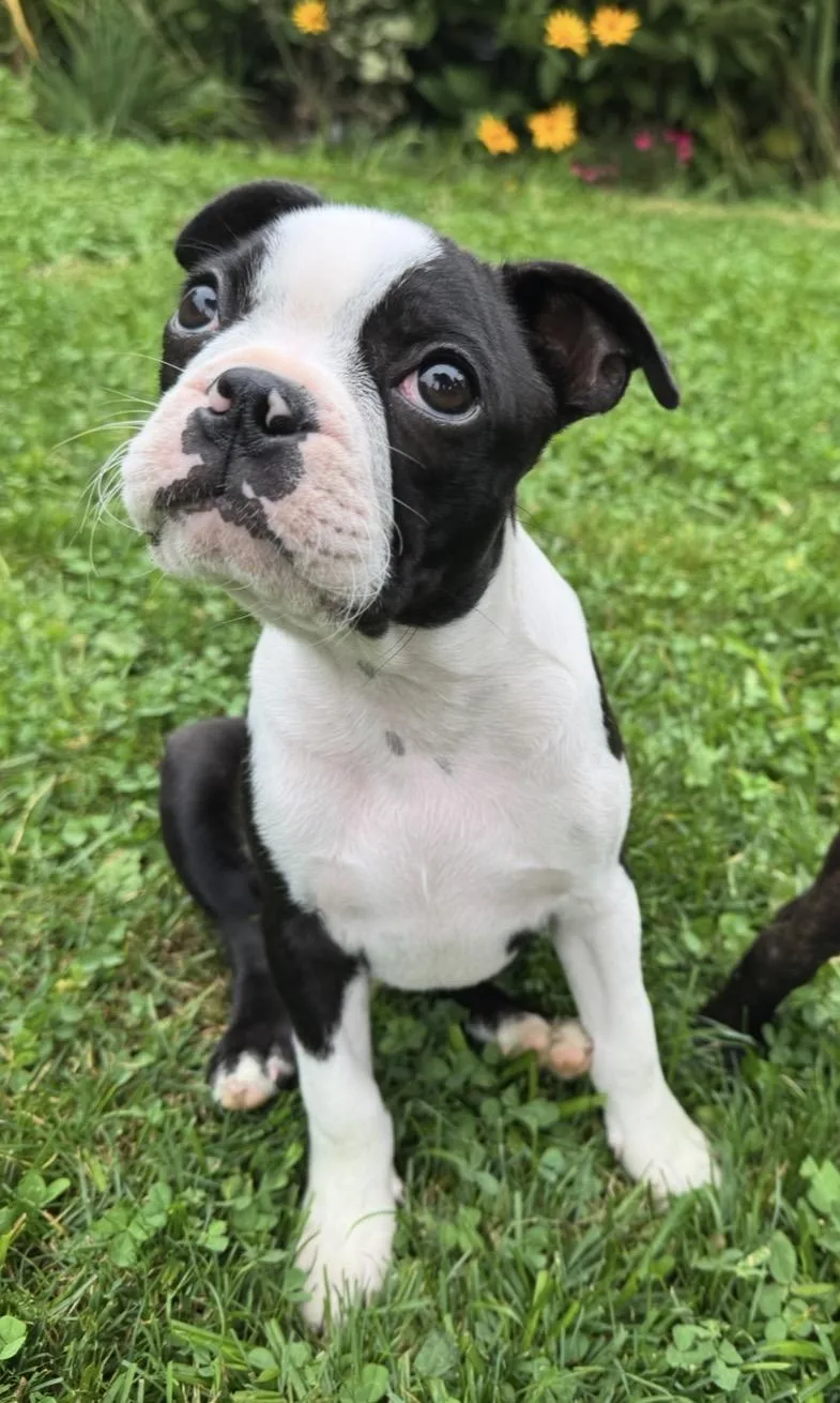 Huey Mason thumbnail 5