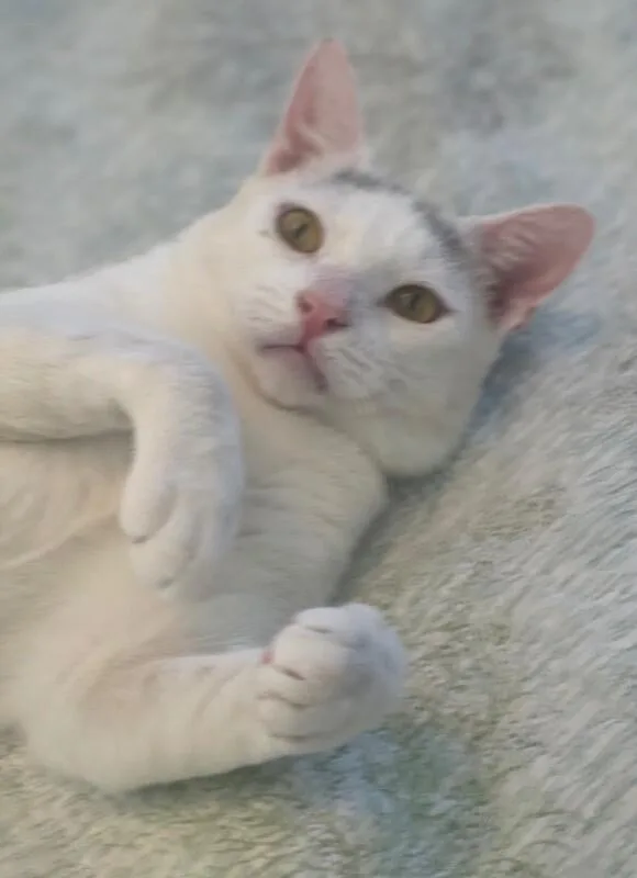 Ricky thumbnail 6