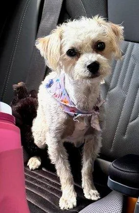 Lucy