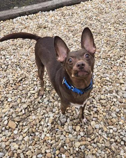 Mr. Bubbles thumbnail 2