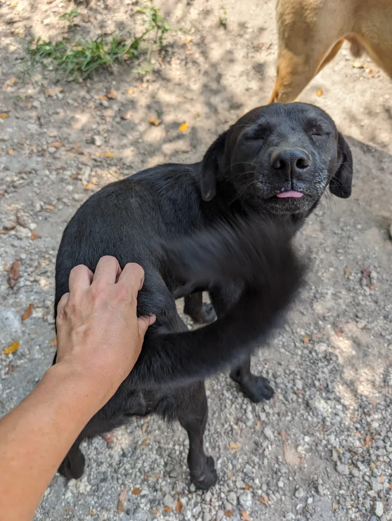 Guiness "hilarious Love!" thumbnail 4