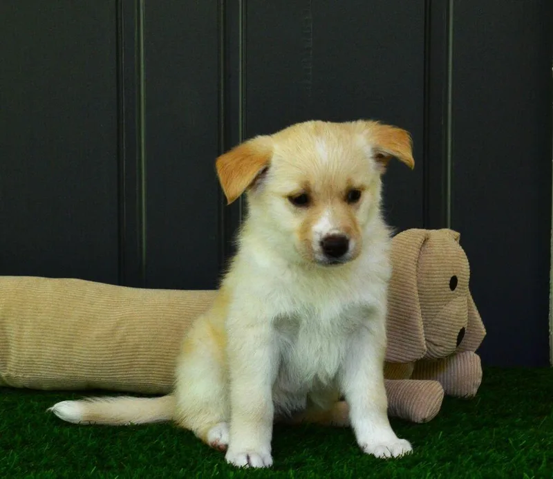 Ellie thumbnail 2