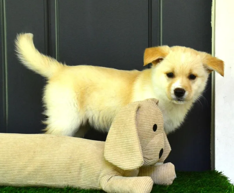 Ellie thumbnail 3