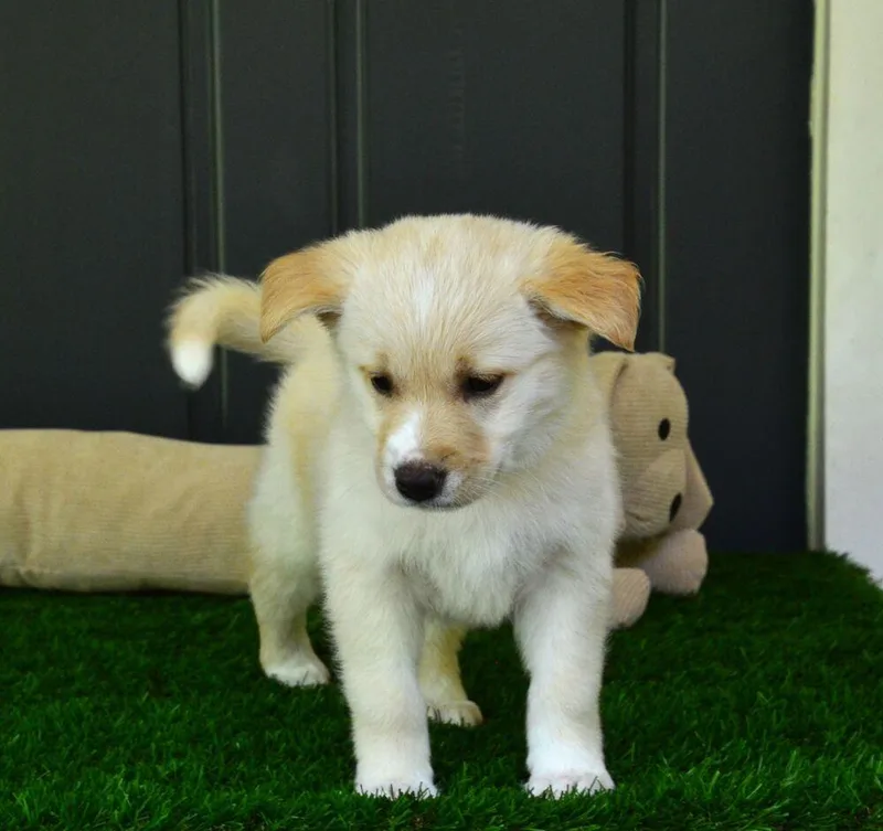 Ellie thumbnail 5