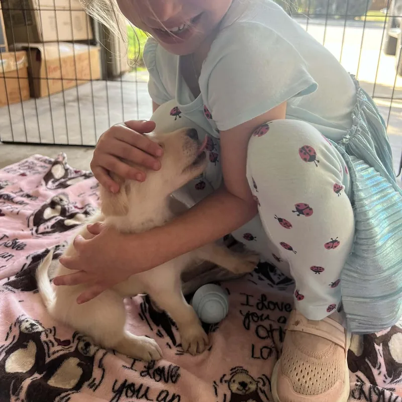 Daphne Gs thumbnail 2