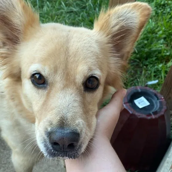 Misty Mae thumbnail 5