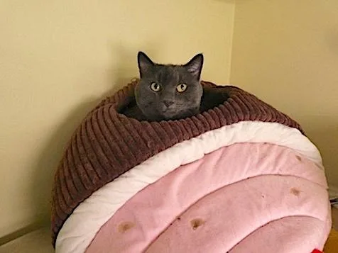 Layla Mae thumbnail 2