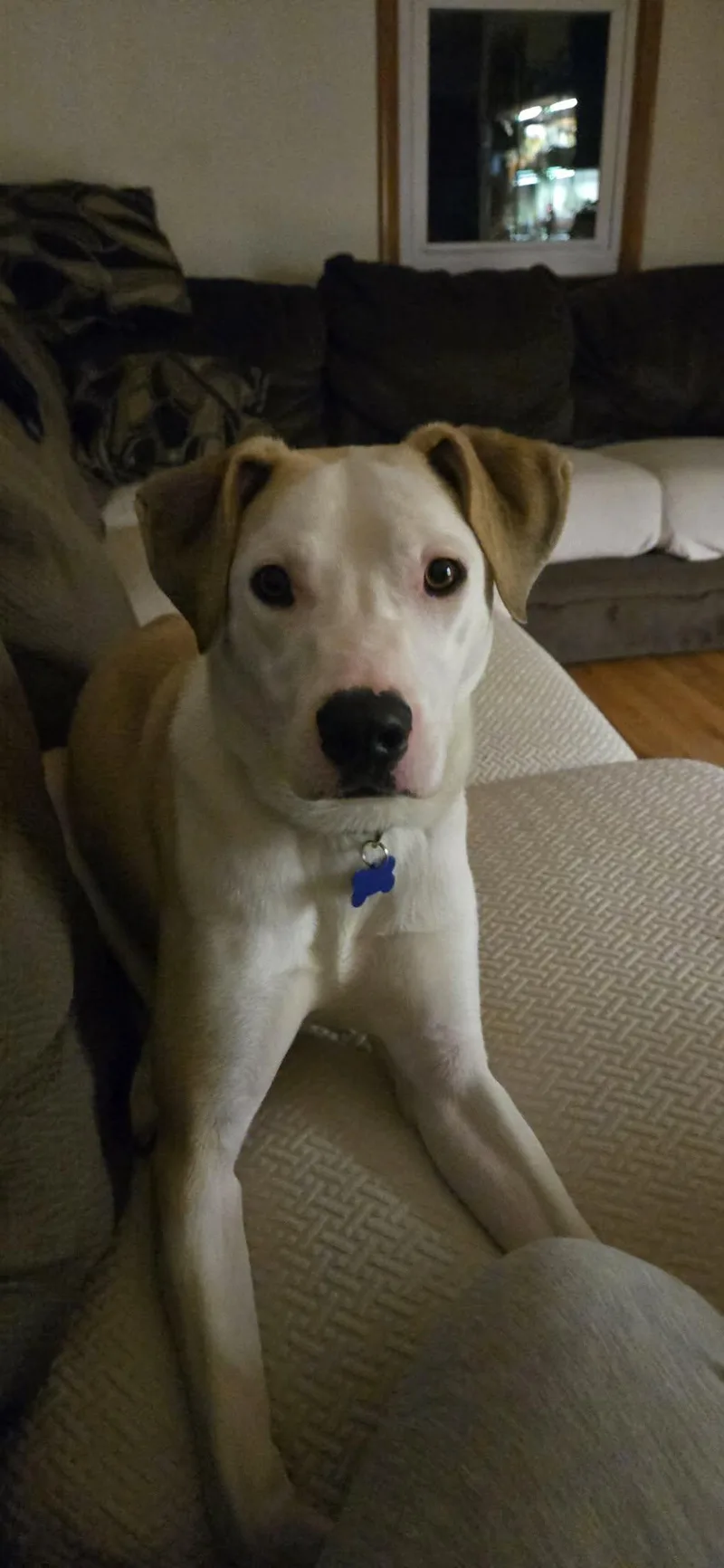 Loverboy Jake thumbnail 4