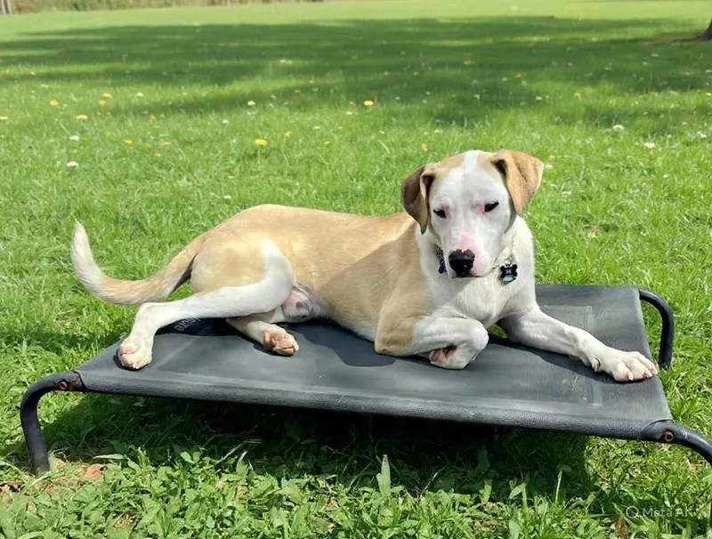 Loverboy Jake thumbnail 5