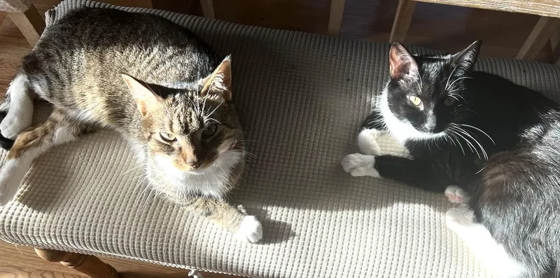 Harley And Chloe thumbnail 2