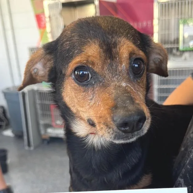 Bismarck thumbnail 2