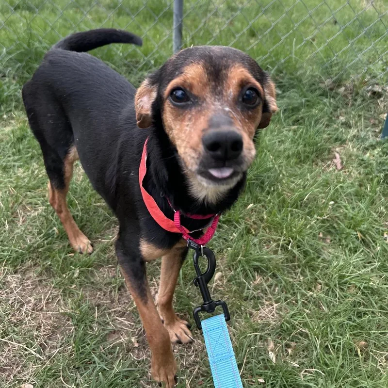 Bismarck thumbnail 3