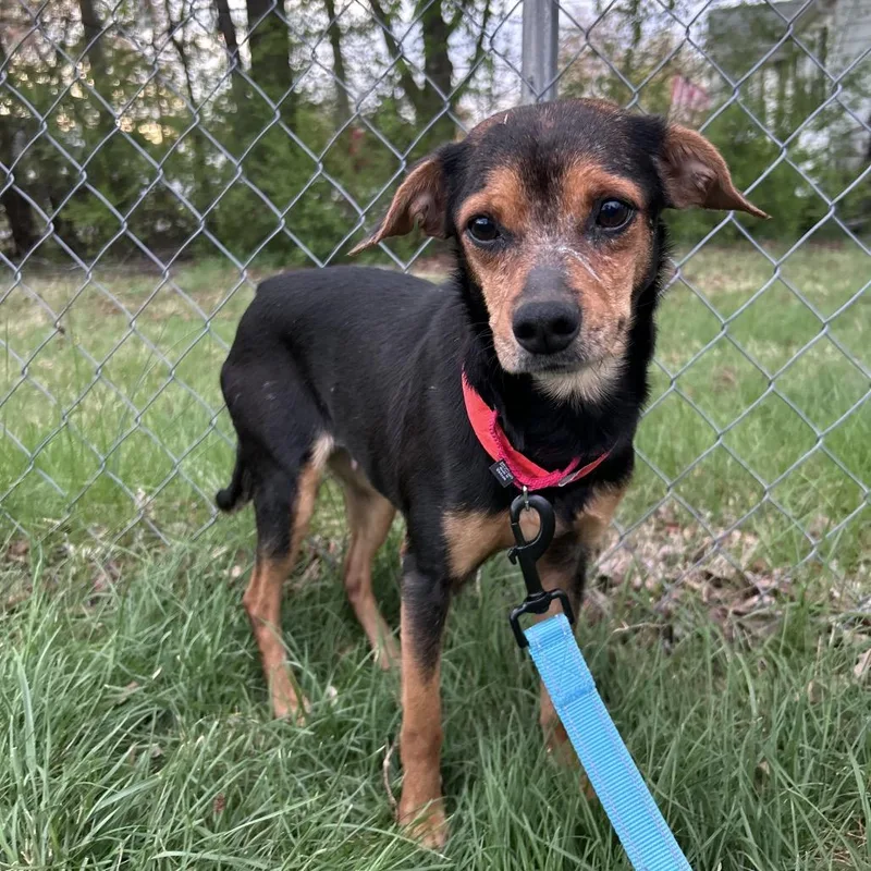 Bismarck thumbnail 5