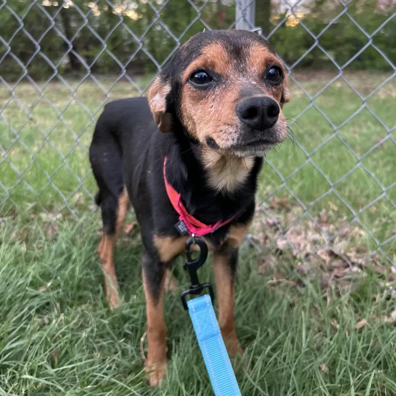 Bismarck thumbnail 6