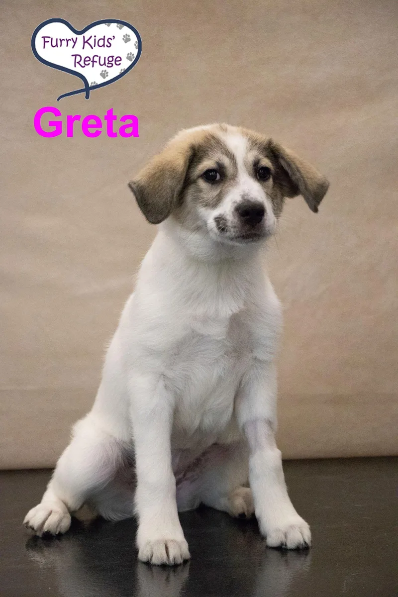 Greta
