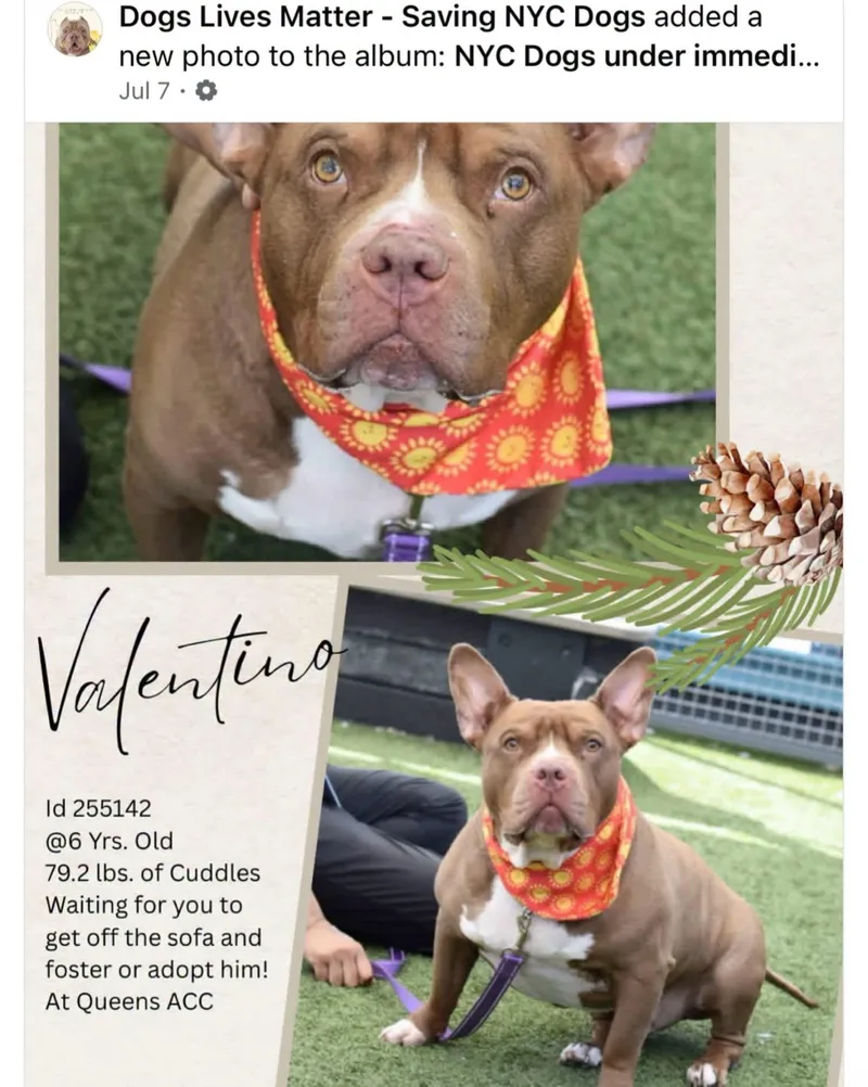 Valentino