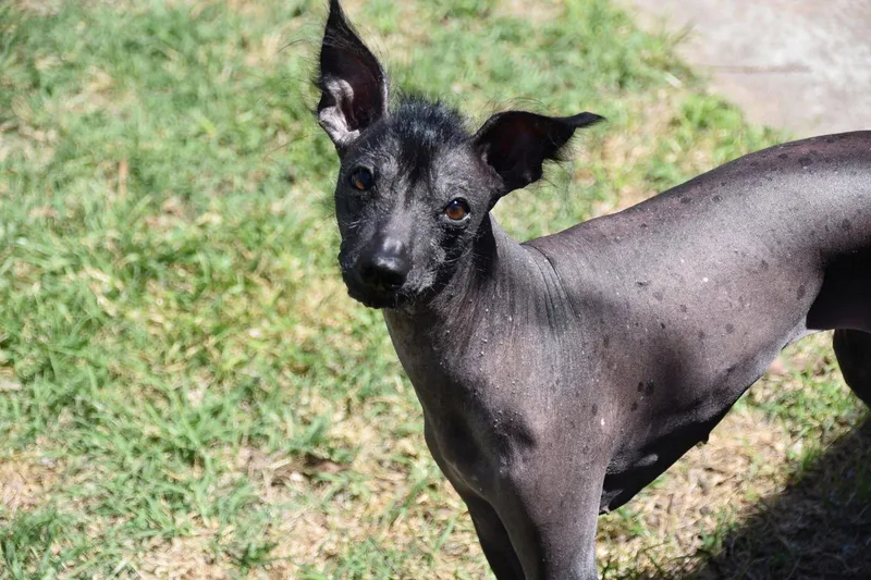 Remi In Texas thumbnail 3