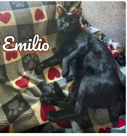 Emilio