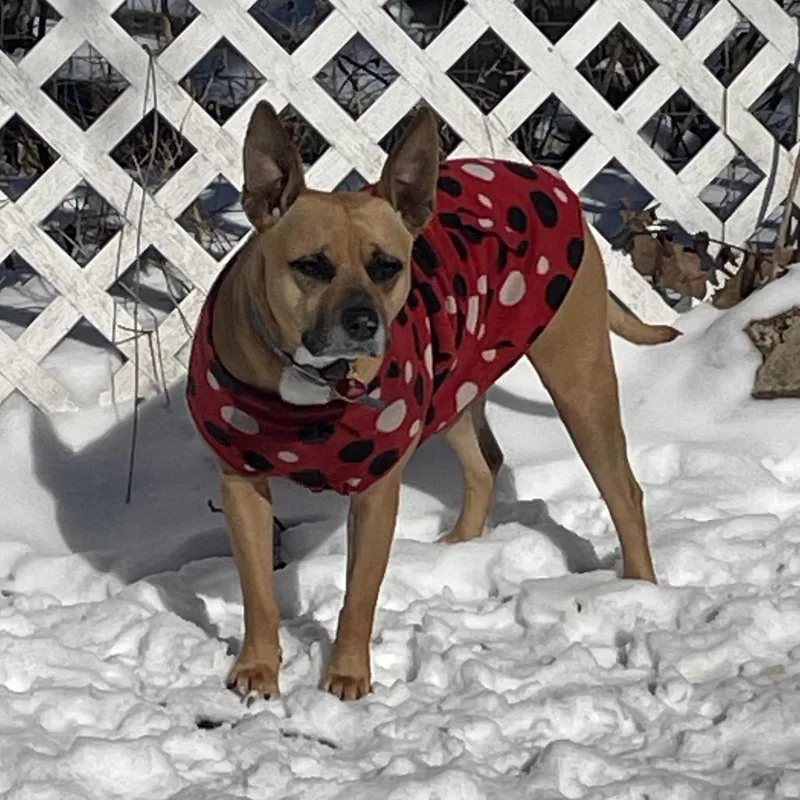 Givenchy thumbnail 2