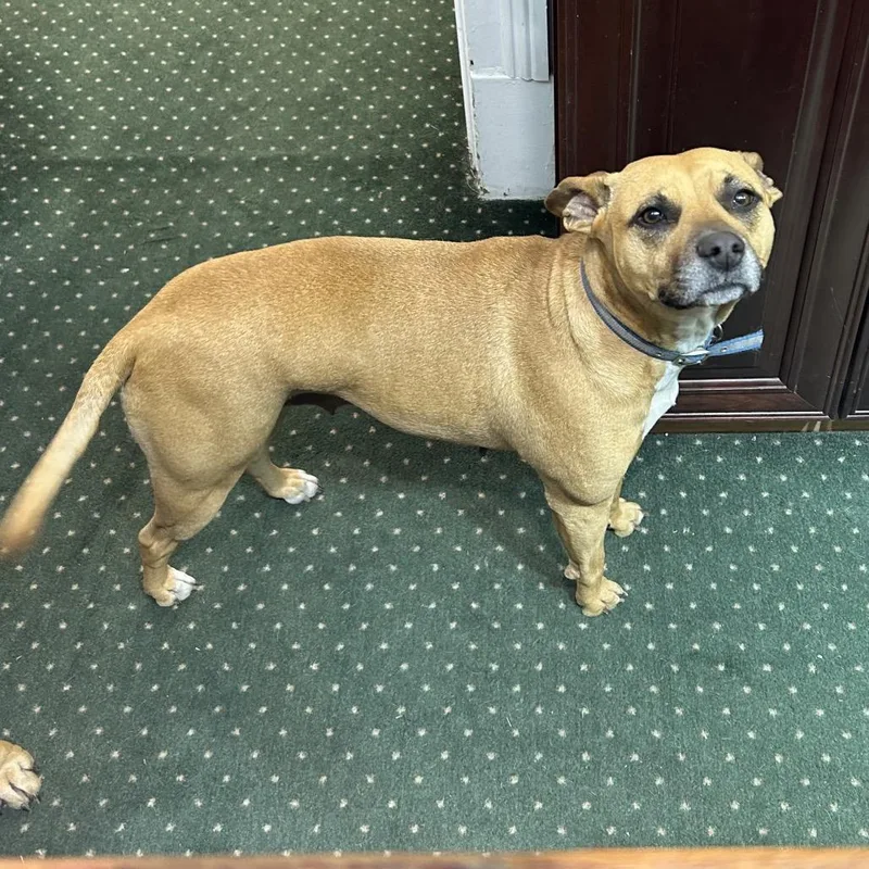 Givenchy thumbnail 3