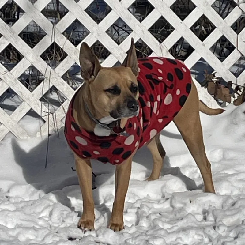 Givenchy thumbnail 4