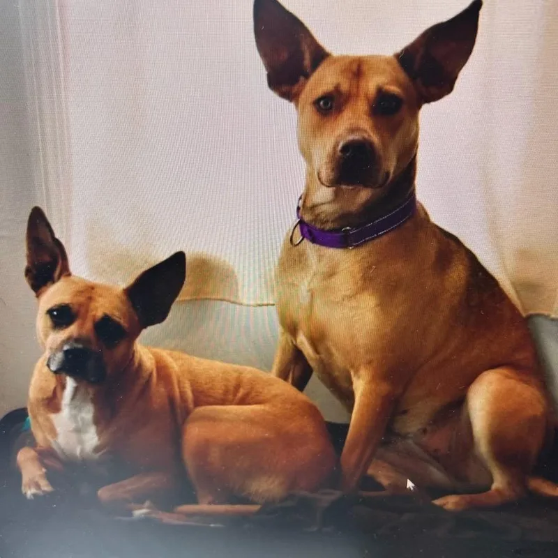 Givenchy thumbnail 5